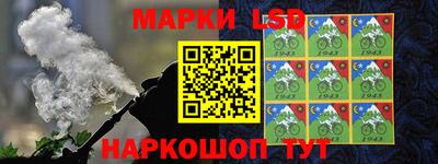 прущие грибы Новозыбков