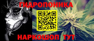 прущие грибы Новозыбков