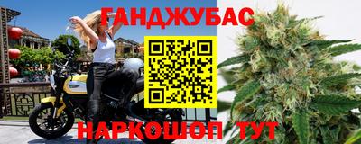 гашик Новокубанск
