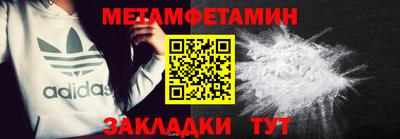 прущие грибы Новозыбков