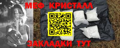прущие грибы Новозыбков
