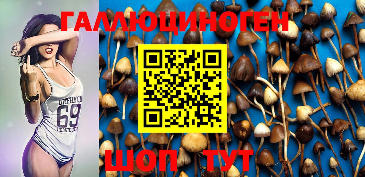 Галлюциногенные грибы Psilocybe Советский